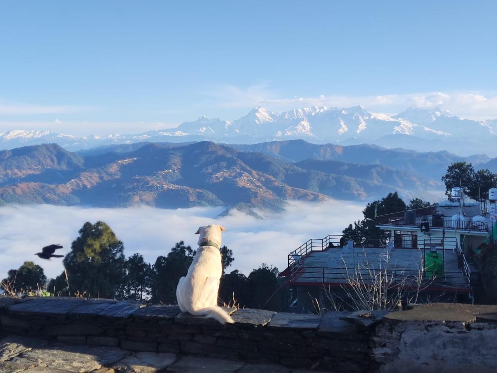 The Heavens Apartment Almora Bagian luar foto